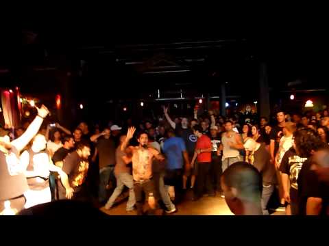 Davey Suicide Download