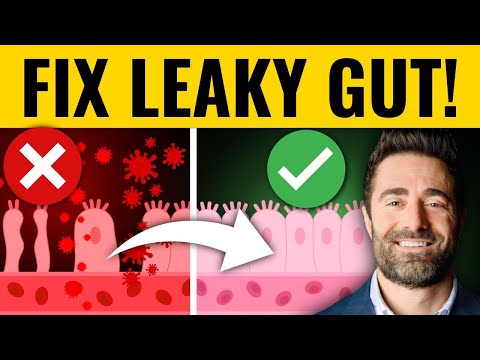 The 4 Most Effective Ways to Treat Leaky Gut (Clinical Pearls)