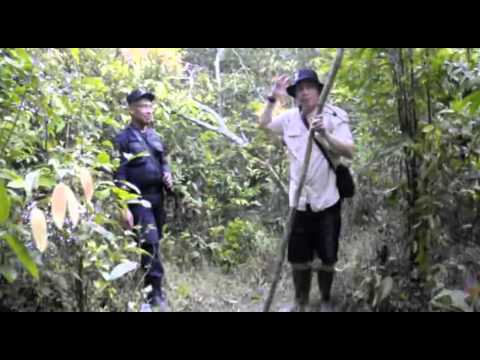 SOS Field Notes Sumatran Rhino Project