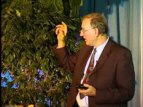 Prof. Dr. Walter Veith (OFF02) - Sieben Gemeinden - Sieben Erfahrungen