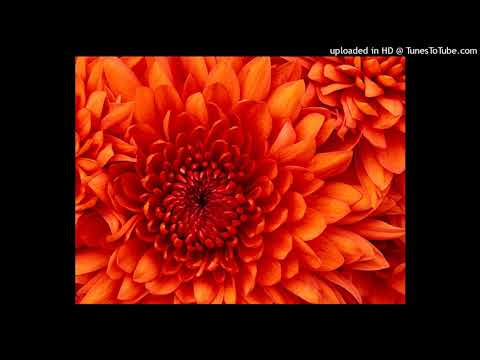 Sharon S Wonderful Club Mix