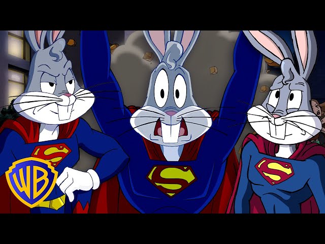 Vídeo relacionado con Amazon Essentials Harry Potter - DC Comics - Looney Tunes Conjunto de Pijama en Franela Hombre, Superman, S