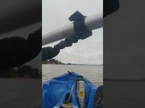 Kayak  TE MINTIERON  HAY DORADOS EN INVIERNO  URUGUAY ARROYO negro
