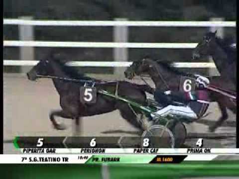 05/03/2013, S.g.teatino , Premio Fubark