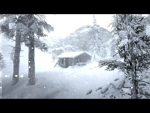 Gentle Snowfall at Midnight | Silent Winter Stillness for Deep Sleep