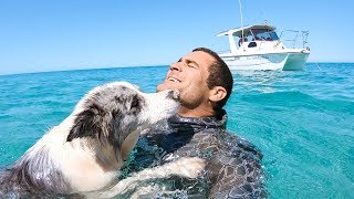 YBS Lifestyle Ep 19 - DIVING WITH SHARKS AND DANGEROUS JELLYFISH | Spearfishing Catch And Cook