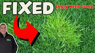 HOW TO FIX WEED GRASS in ONE DAY // POA //  AMG // COUCH GRASS // Yorkshire Fog