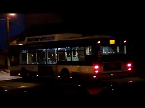 STCP linha 805 veiculo 3128