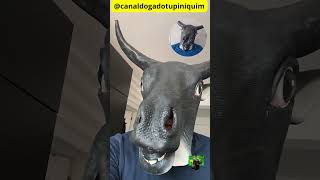 Faltam NOVE dias Bolsonaro...Tarcísio... enrolado..Michele livre, leve e soltinha!