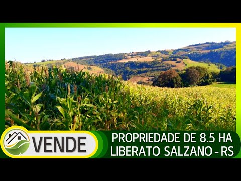 PROPRIEDADE DE 5.8 HA À VENDA EM LIBERATO SALZANO - RS