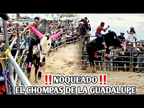 ‼️QUEDO NOQUEADO‼️ EL CHOMPAS DE LA GUADALUPE VS EL ANGEL NEGRO DE RANCHO EL TESORO EN NEW YORK