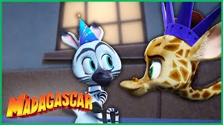 A Grande Festa | DreamWorks Madagascar em Português