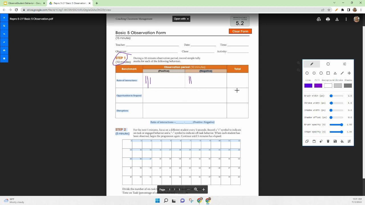 Basic 5 Observation Form