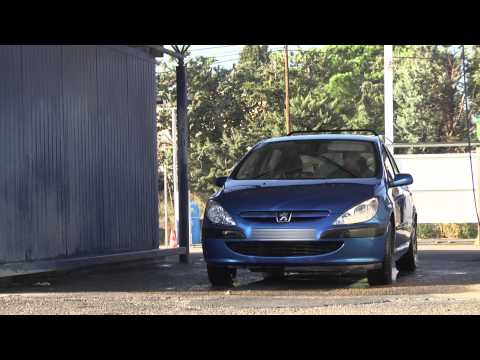 N'IMPORTE QUI - Extrait du film - Le Pigeon