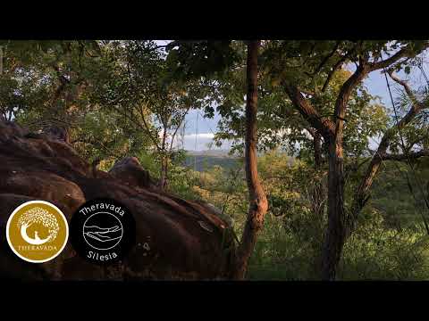 Medytacja na Zoomie - 05.03.2022 - Kondañño Bhikkhu