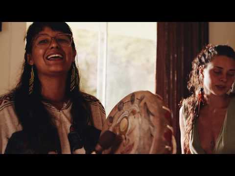 Clã Colibrís - Voy caminando a la noche