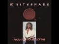 Whitesnake Fool For Your Loving Vai Voltage Mix ...
