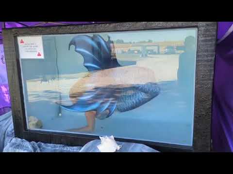 Promotional video thumbnail 1 for Mermaid Tami