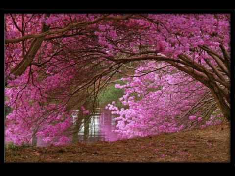 Üllar Jörberg ja Silvi Vrait-reisin