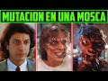 SUMMARY THE FLY