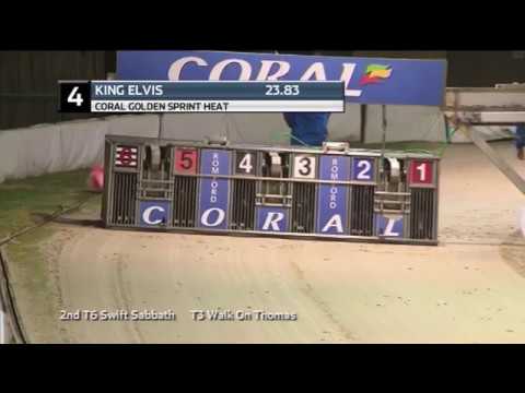 2019 CORAL GOLDEN SPRINT - HEAT 3 - T4 KING ELVIS