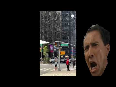 Nicolas Cage and the Bees in New York