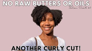 Natural Hair Detox: Week 22 of No Raw Butters & Oils | Natural Hair Salon Visit | Gabrielle Ishell