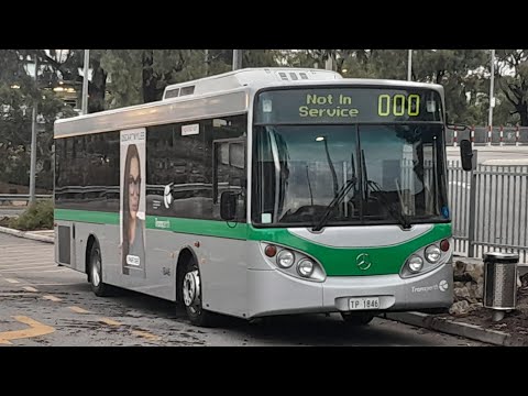 Transperth TP1846