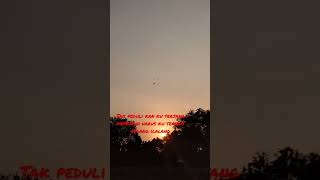 Download lagu Camelia 2 - Ebiet Gad #shorts #nostalgia #tembang #kenangan@Radiojaddoels mp3 Download lagu Camelia 2 - Ebiet Gad #shorts #nostalgia #tembang #kenangan@Radiojaddoels mp3