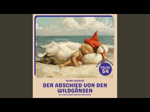 Kapitel 1 - Der Abschied von den Wildgänsen (Nils Holgersson, Folge 54)