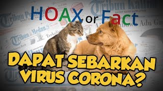 Hoax or Fact: Kucing dan Anjing Mati Dilempar dari Apartemen di China karena Sebarkan Virus Corona?