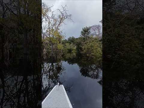 Igarapé do Bonifácio #Itacoatiara# #amazonasbrasil