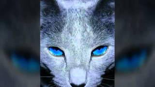 ALPHAVILLE    NEXT GENERATION