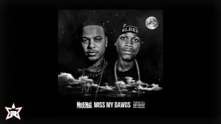 Meek mill miss my dawg