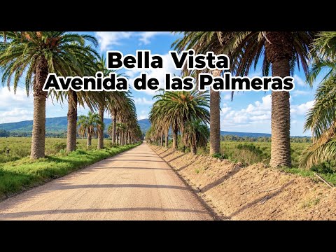 Bella Vista, Avenida de las Palmeras, 20.09.2026