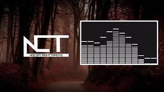 Cadmium &amp; Timmy Commerford - Feel It too [NCT Release]