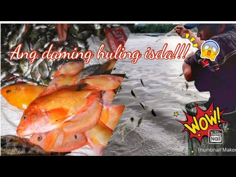 ANG DAMING ISDA !! | Duong sa Sampaloc Lake | Biyaya ng lawa | Seven Lakes of San Pablo