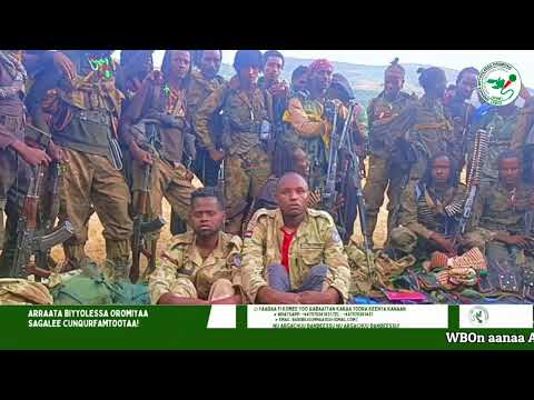 Gabaasa Addaa ONM-ABO Muddee 17-2025 itti dhiyaadhaa!