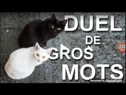 Duel de gros mots