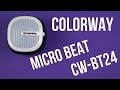 Акустическая система ColorWay CW-BT24W - відео