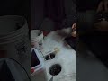 Video Thumbnail for Winter Camping Ice Fishing Burbot