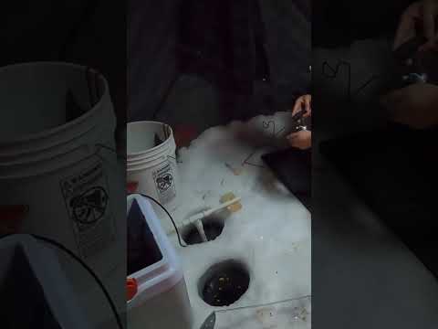 Winter Camping Ice Fishing Burbot