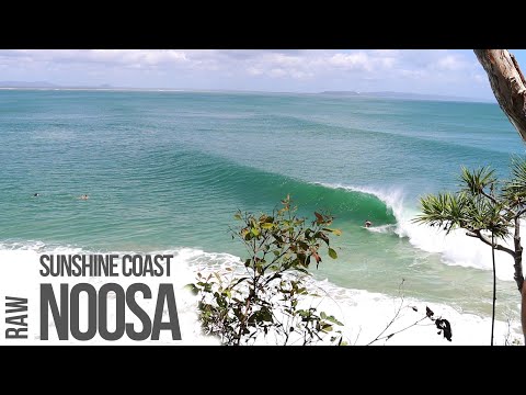 Navigating the Boiling Pot - Noosa
