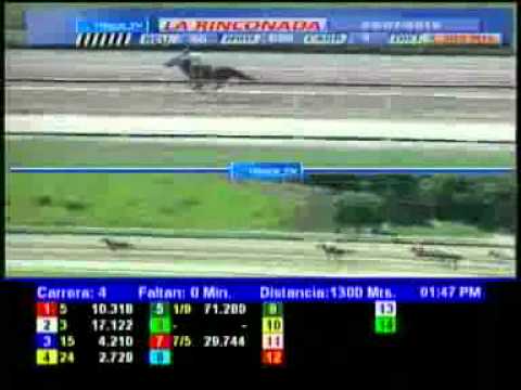 4TA CARRERA DOM 29 JULIO LA RINCONADA AUDIOHIPISMO