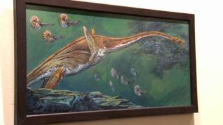 The Age of Reptiles (Video by Isaac Ruth)