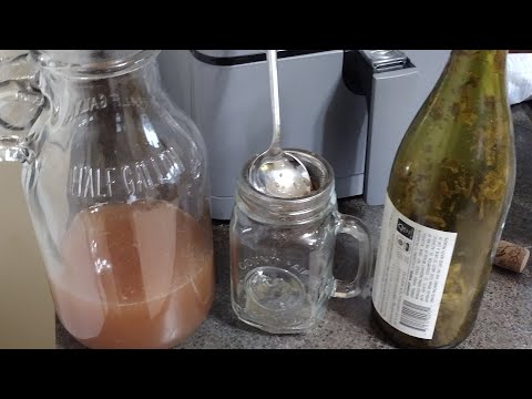 Blue Lotus Flower Wine Infusion - experiment!