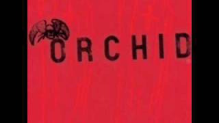 Orchid - Pledge