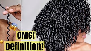 Defining Natural Hair with ZERO Frizz!?! (No Heat) 😱 | Finger Coils