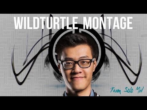 Best of Wildturtle: TSM ADC