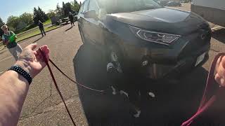 Bayberry Level 5 Vehicles 9.27.2025